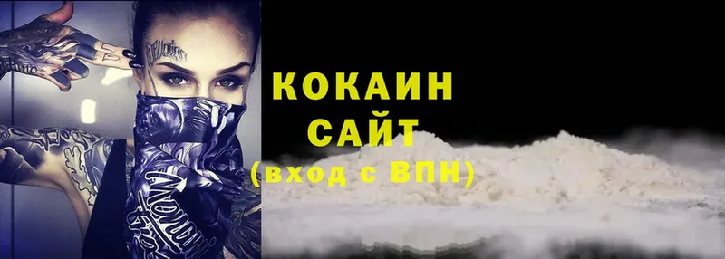 COCAIN Fish Scale  Ковылкино 